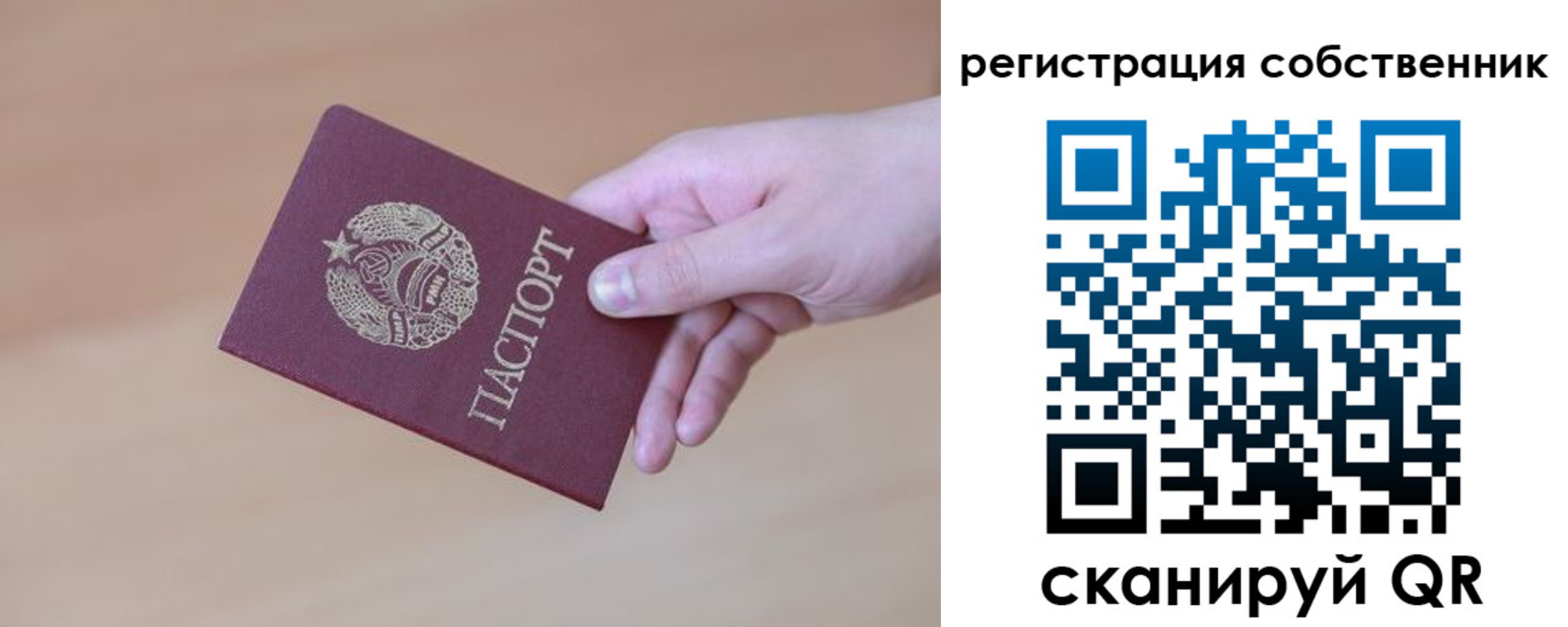 временная регистрация гарантия в Ершове